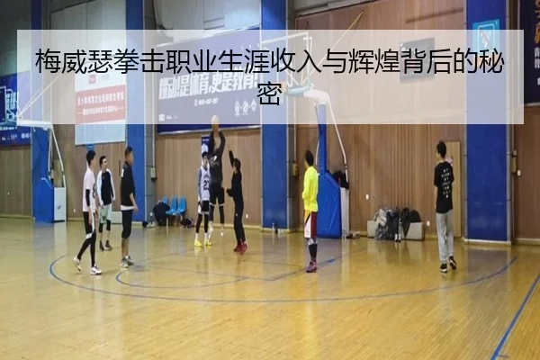 梅威瑟拳击职业生涯收入与辉煌背后的秘密